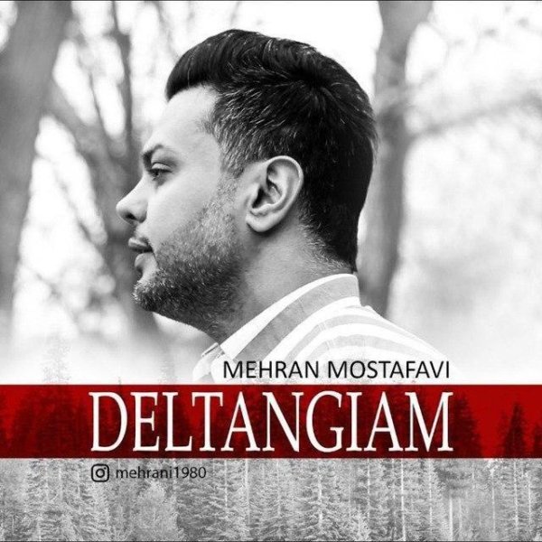 دانلود آهنگ دلتنگیام دانلود آهنگ دلتنگیام